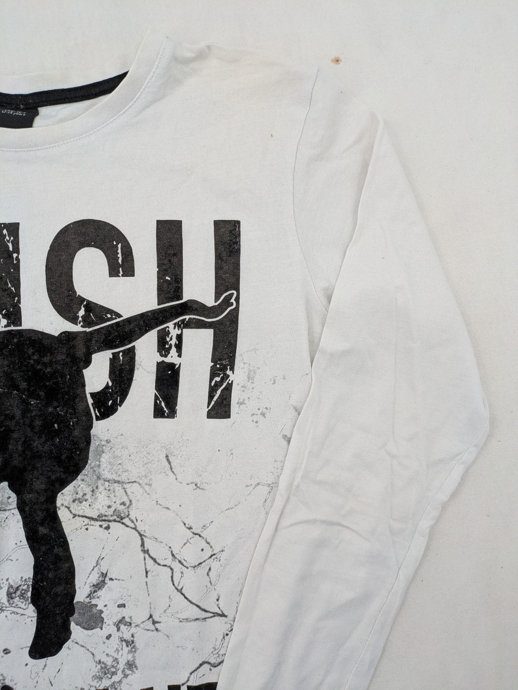 Chapter Young long sleeve shirt white with black skateboarder graphic and motivational text.