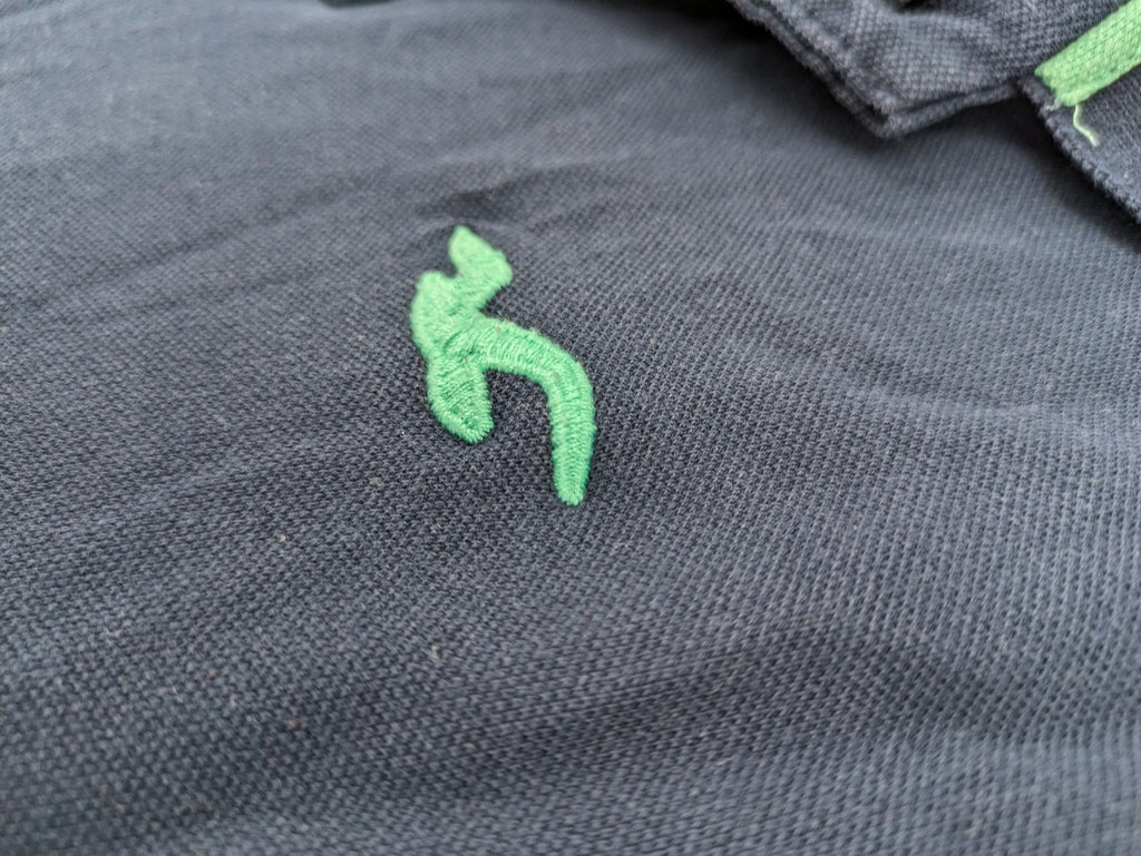 Hollister polo shirt navy blue with embroidered seagull logo and green trim.