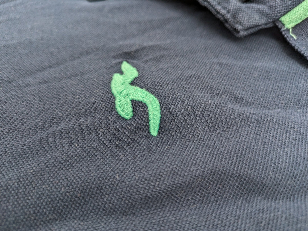 Hollister polo shirt navy blue with embroidered seagull logo and green trim.
