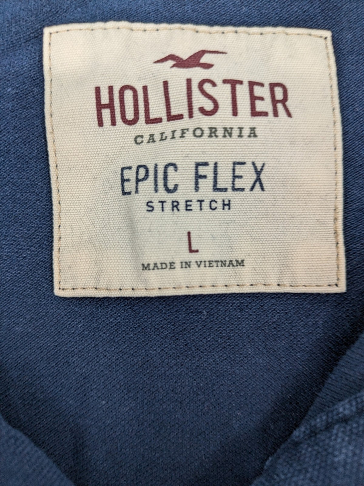 Hollister polo shirt navy blue with embroidered seagull logo and green trim.