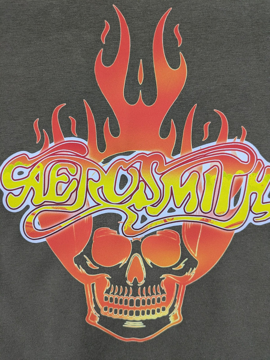Aerosmith khaki band t-shirt featuring large flaming skull graphic and logo, slim fit.