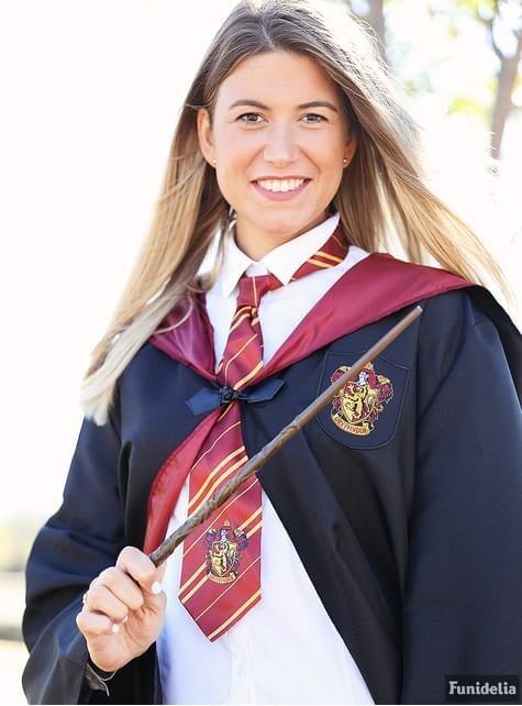 Harry Potter necktie gold with red stripes and Gryffindor house crest design.